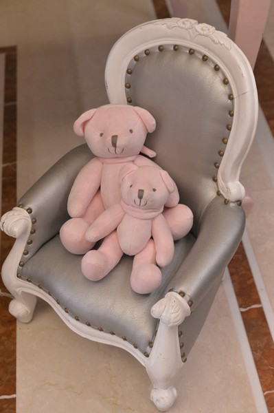 Baby Ella Aoun Welcoming
