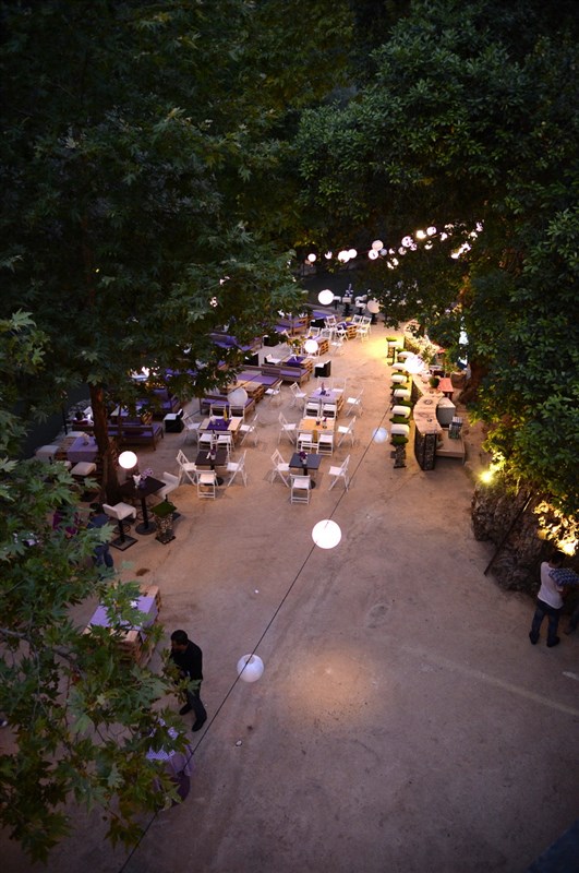 Opening of Crocus Sous Le Pont