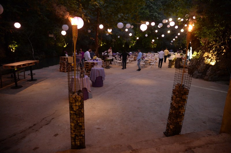 Opening of Crocus Sous Le Pont