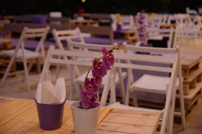 Opening of Crocus Sous Le Pont