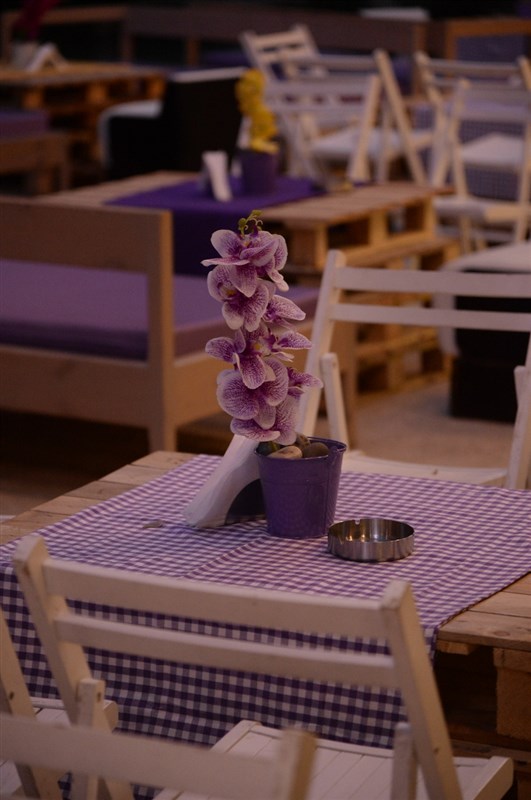 Opening of Crocus Sous Le Pont