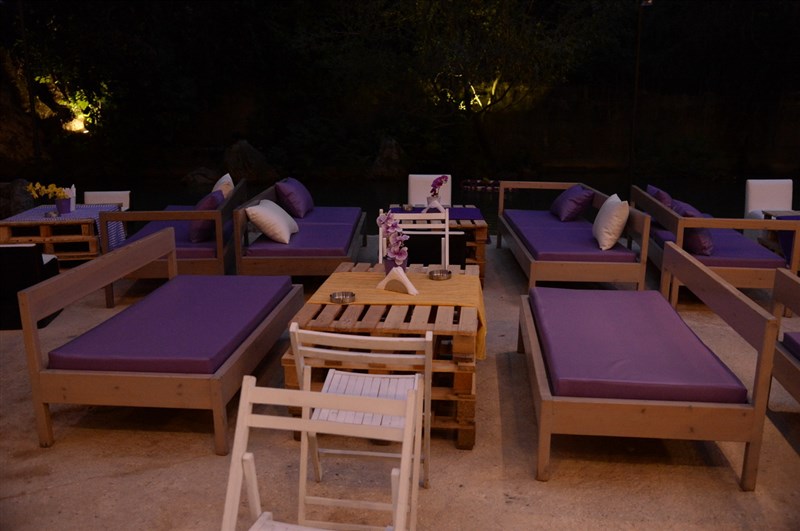 Opening of Crocus Sous Le Pont
