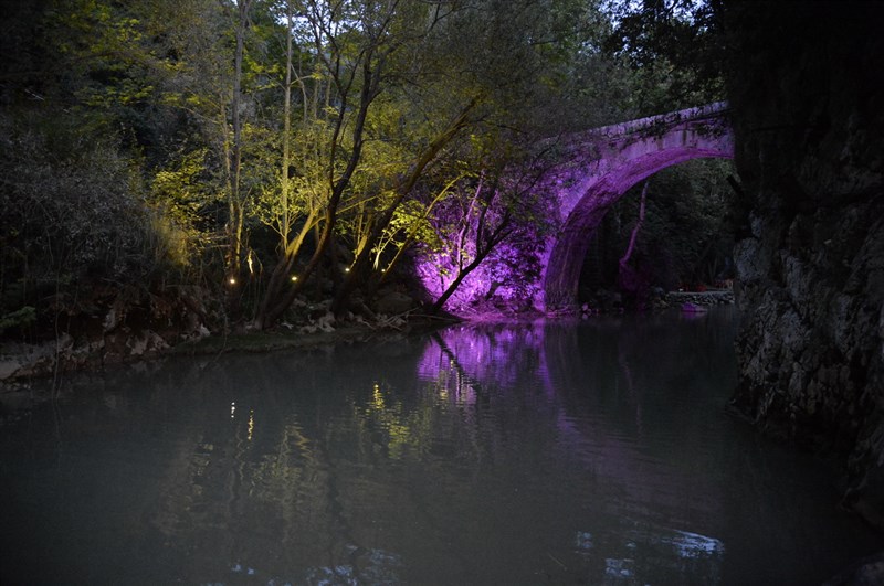 Opening of Crocus Sous Le Pont