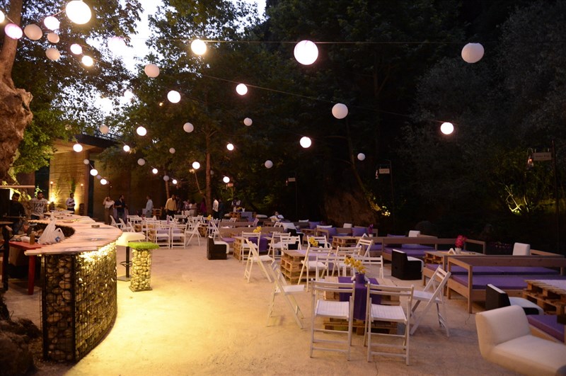 Opening of Crocus Sous Le Pont