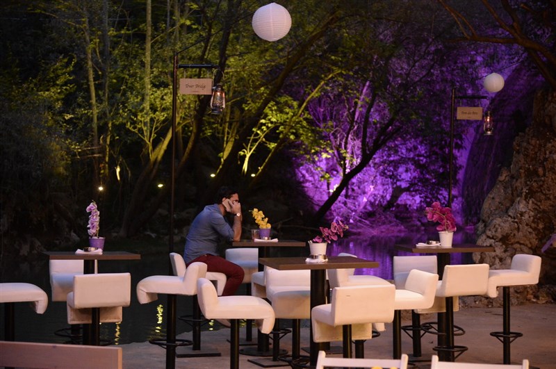 Opening of Crocus Sous Le Pont