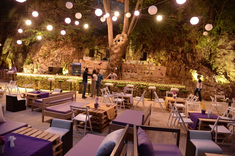 Opening of Crocus Sous Le Pont