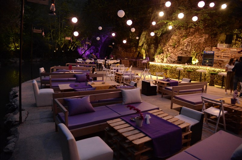 Opening of Crocus Sous Le Pont