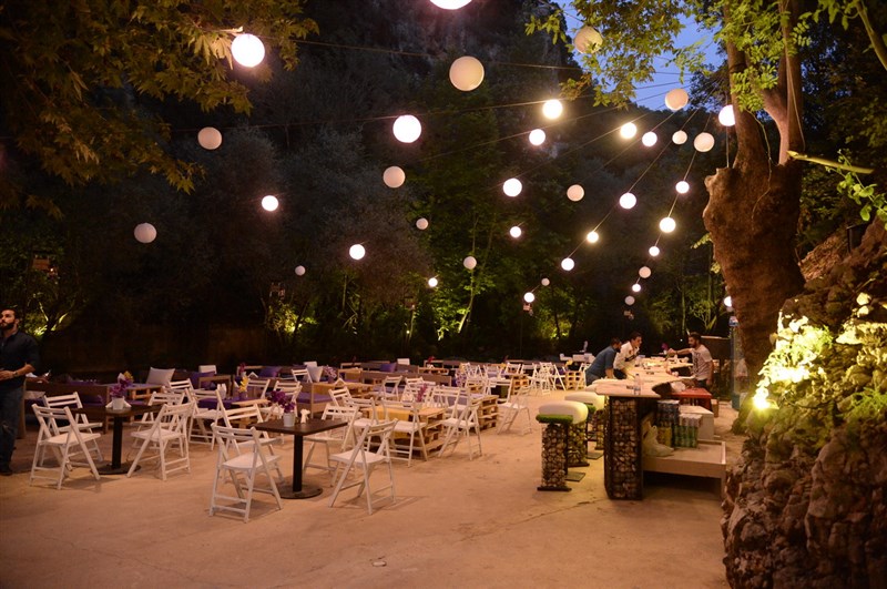 Opening of Crocus Sous Le Pont