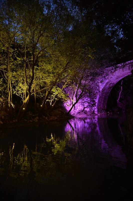 Opening of Crocus Sous Le Pont