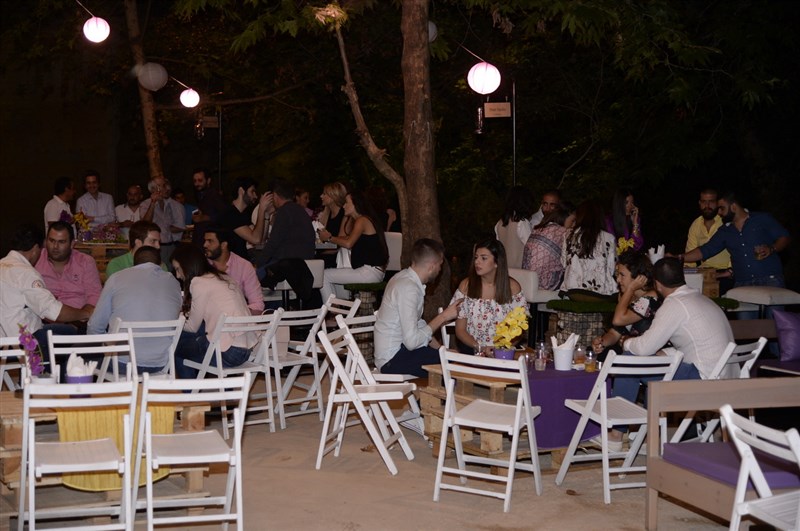Opening of Crocus Sous Le Pont