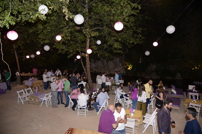 Opening of Crocus Sous Le Pont