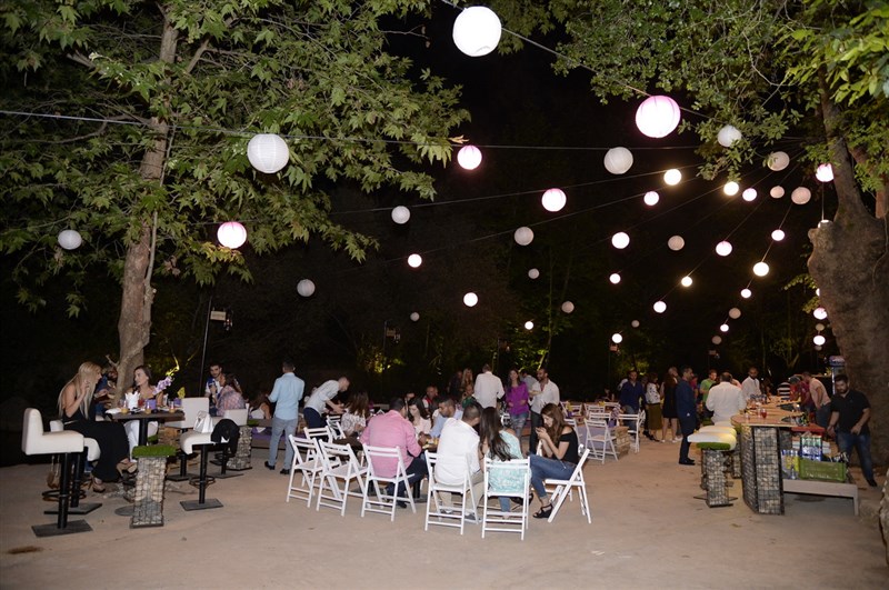 Opening of Crocus Sous Le Pont