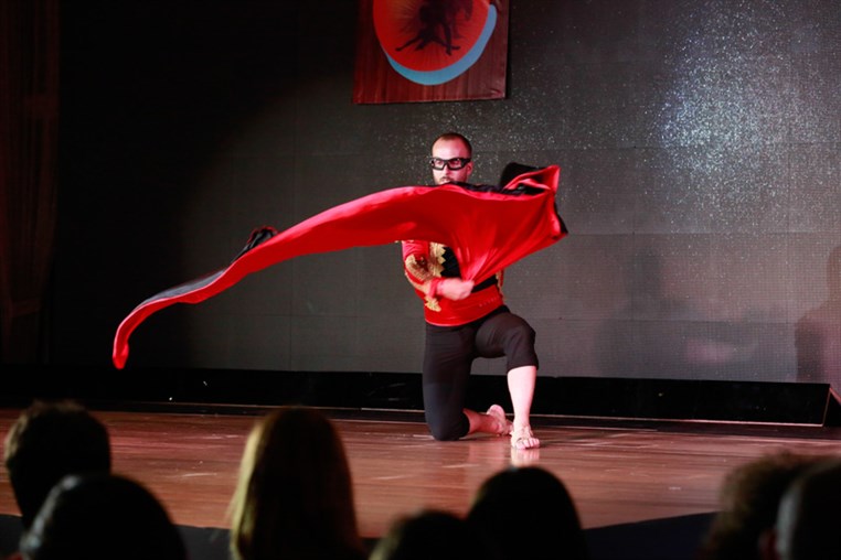 Lebanon International Dance Festival 2014