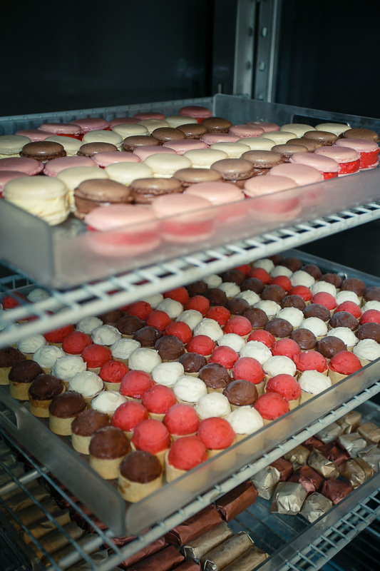 Opening of Muse Chocolate Concept