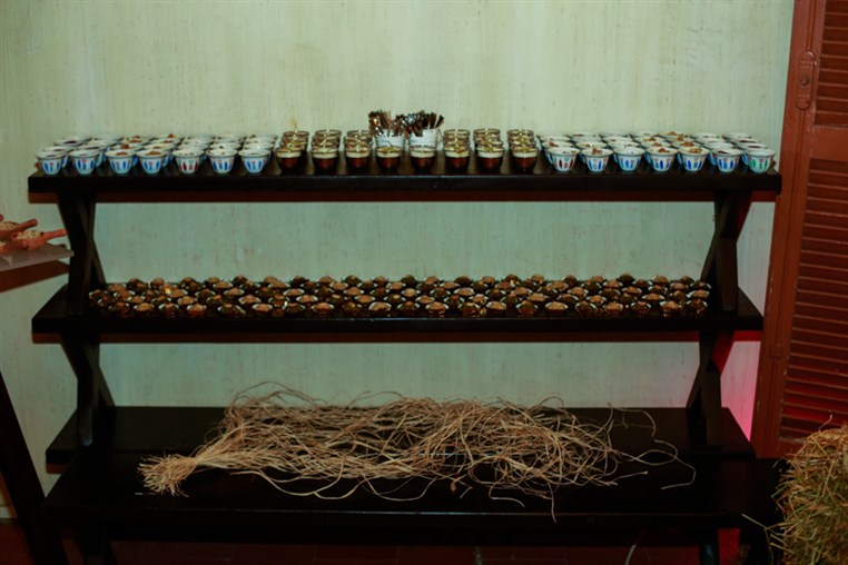 The Boutique Opening 