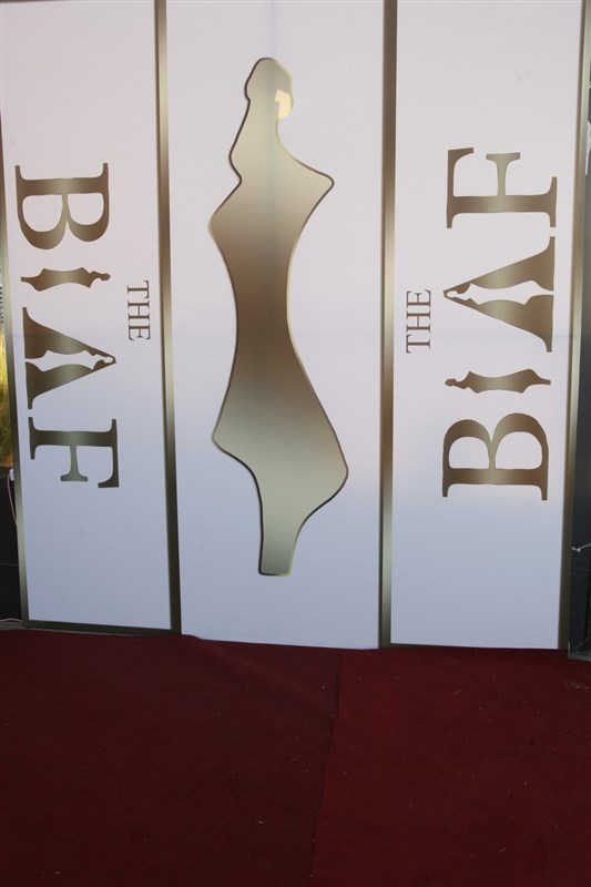 BIAF 2015 Part 1