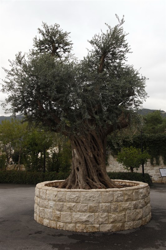 Opening of Les Caves de la Creperie