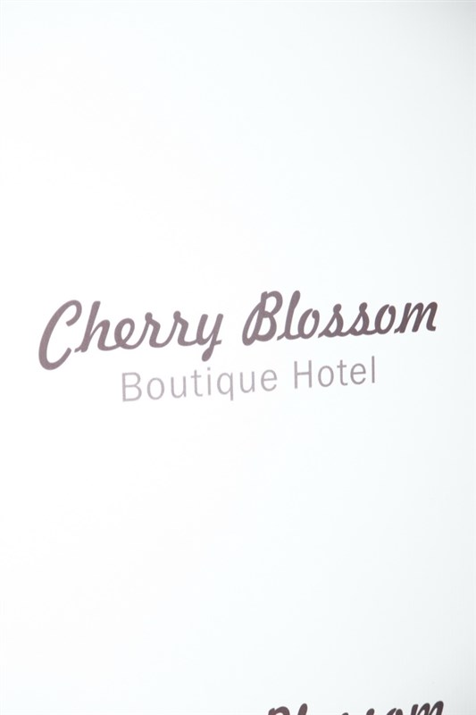 Cherry Blossom Opening 
