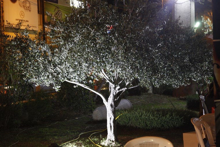 Le Marche des Fleurs a Byblos 