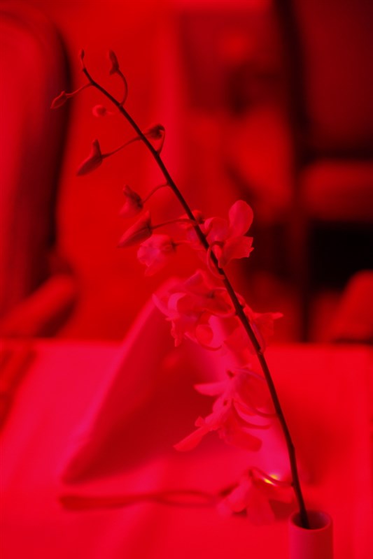 Valentine's at Le Ciel-Hilton