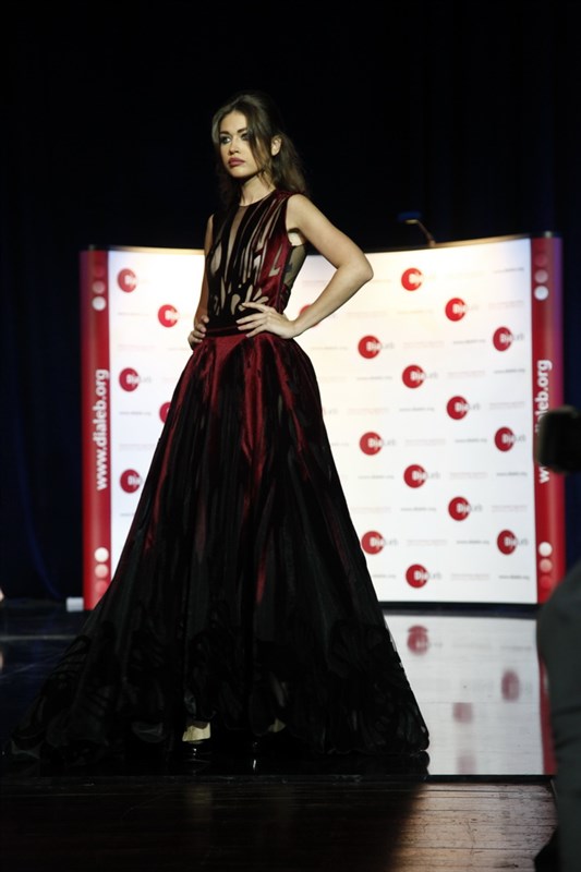 Dialeb 5th Anniversary Gala Dinner