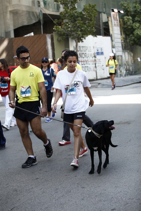 Beirut Marathon 2013