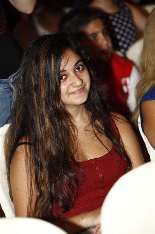 Dbayeh Summer Festival 2014