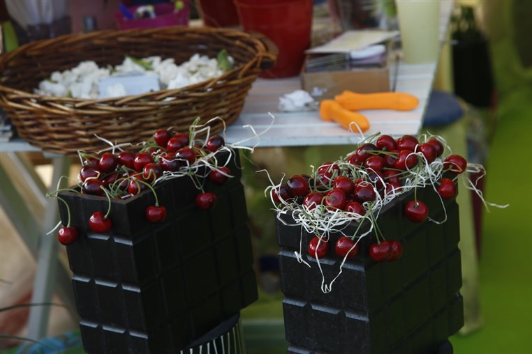 The Garden Show and Spring Festival 2014