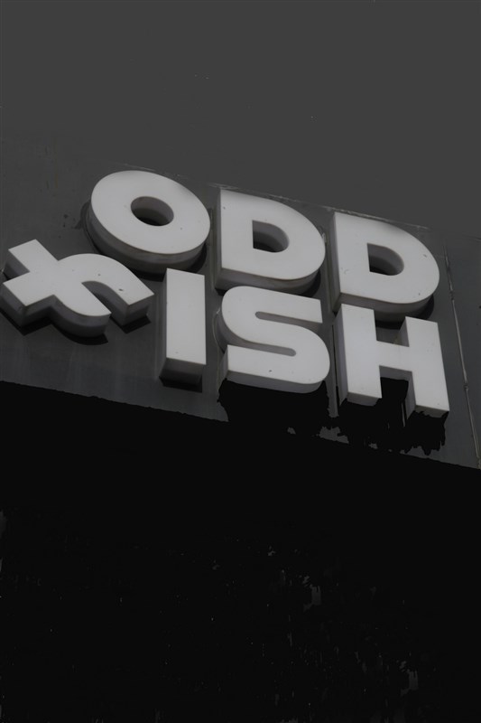 Earth day at the Oddfish 