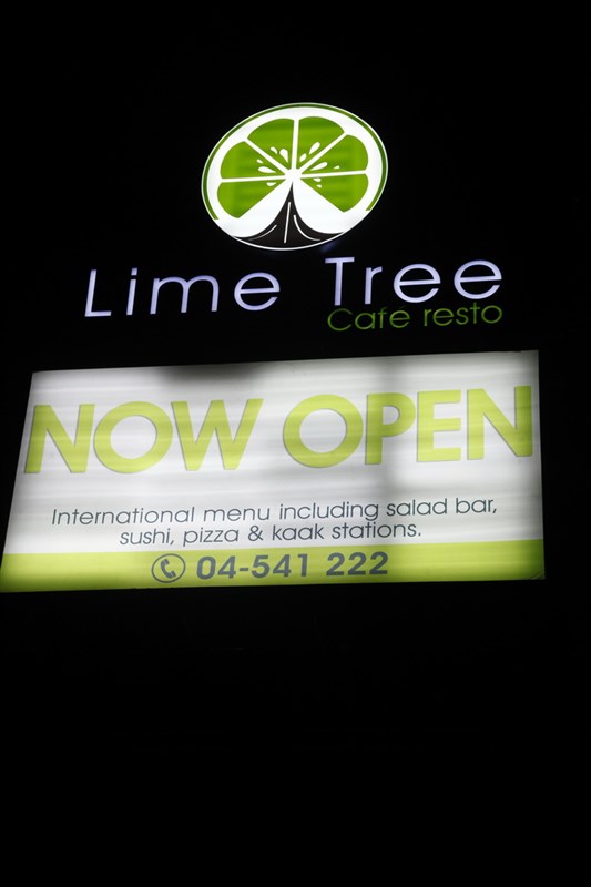 Lime Tree Opening