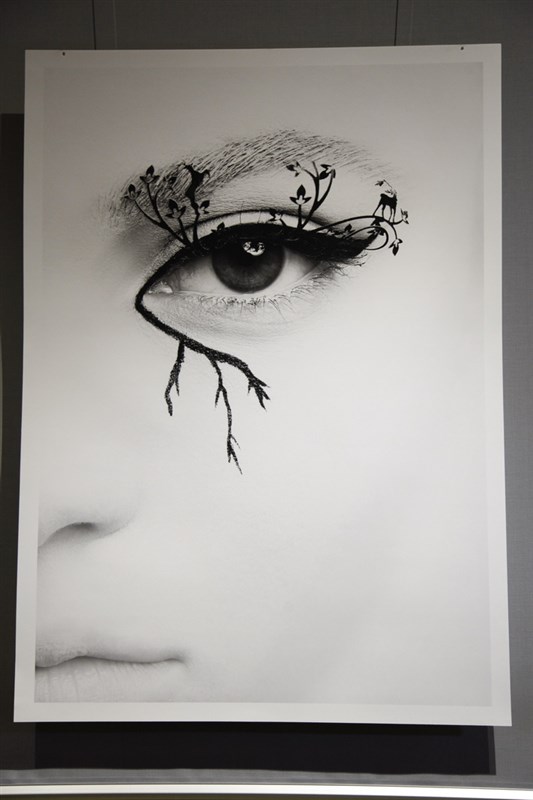 Eyedentity an Exhibition by Bassam Fattouh and Mohamad Seif