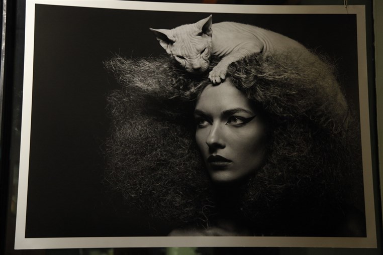 Eyedentity an Exhibition by Bassam Fattouh and Mohamad Seif