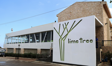 Lime Tree Opening