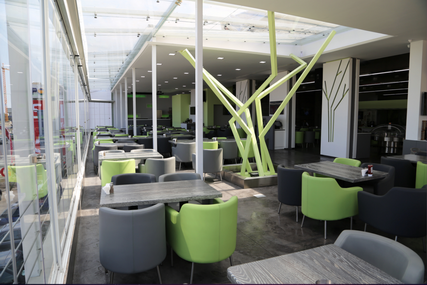 Lime Tree Opening