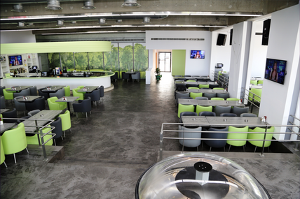 Lime Tree Opening