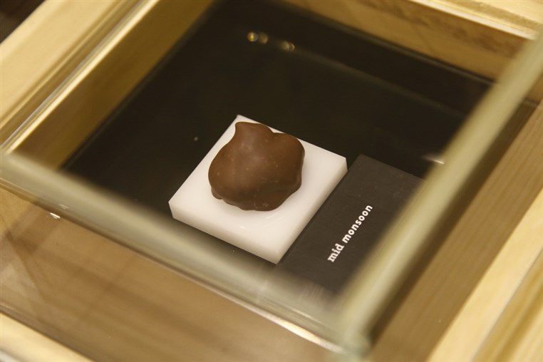 Opening of Elsa Chocolatier