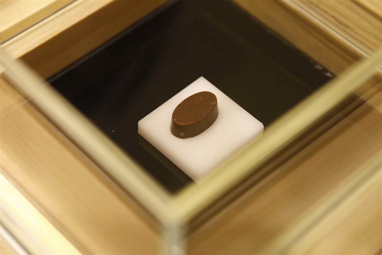 Opening of Elsa Chocolatier