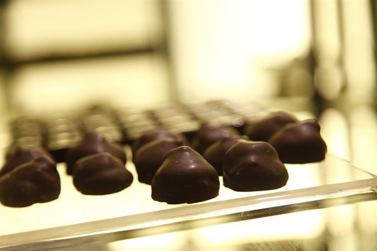 Opening of Elsa Chocolatier