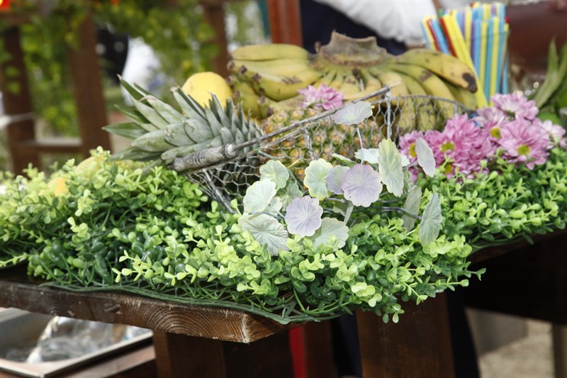 The Garden Show & Spring Festival