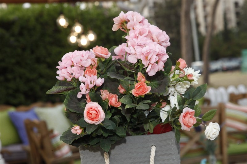 The Garden Show & Spring Festival