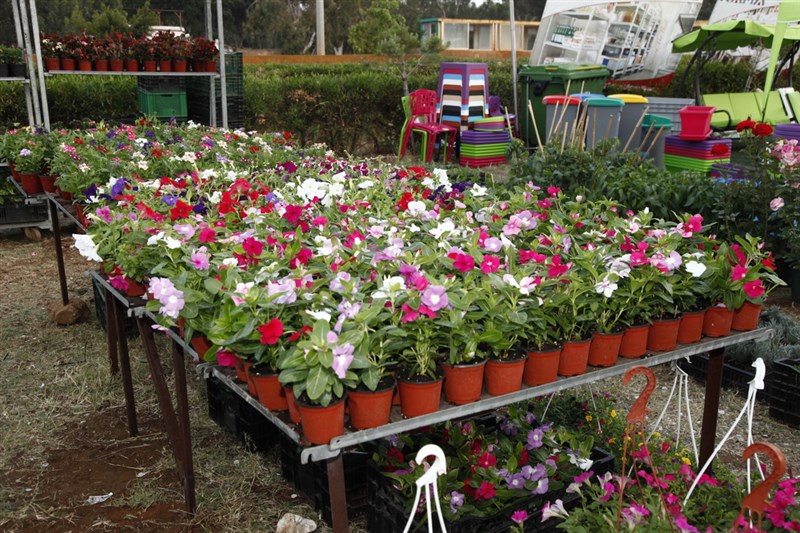 The Garden Show & Spring Festival