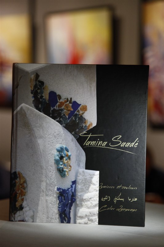 Color Language Exhibition by Tamina Saade 
