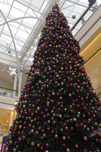 ABC Unveiling of its Christmas Spirit