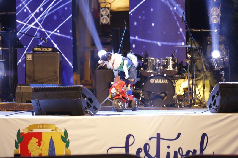Elefteriades group at Hadat Festival