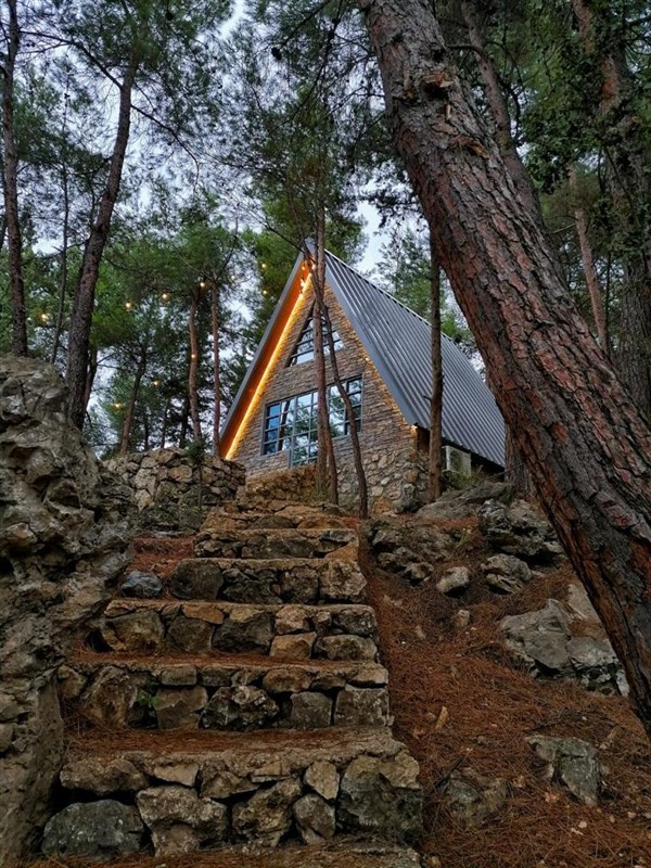 The Beauty of Lebanon 