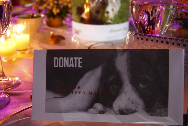 Animals Lebanon 5th Annual Gala