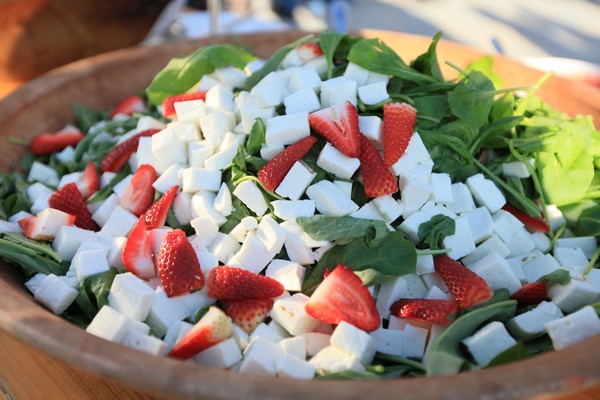 Terrebrune Barbecue Day