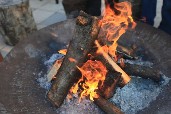 Terrebrune Barbecue Day