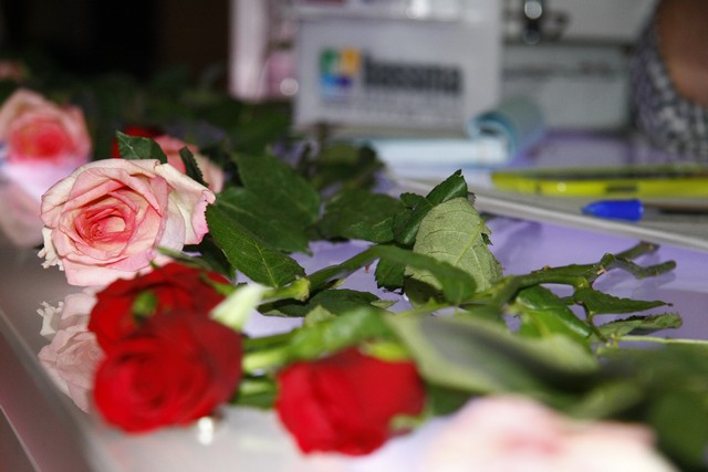 Mother Smiles for a Cause