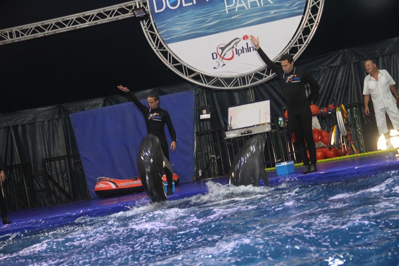 Official Opening of Beirut Dolphinarium
